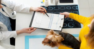 Best Pet Insurance Policies Explored