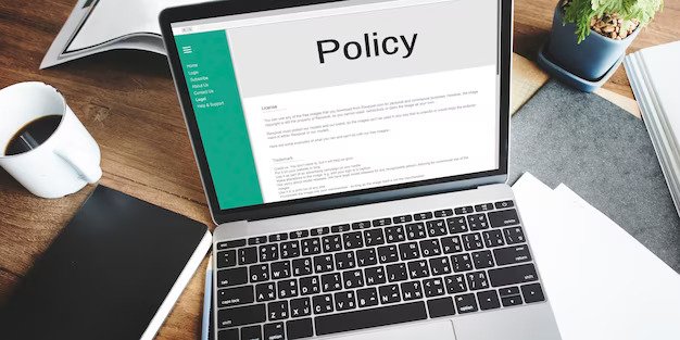 Understanding Policy Terms